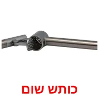 כותש שום Bildkarteikarten