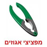 מפציצי אגוזים Bildkarteikarten