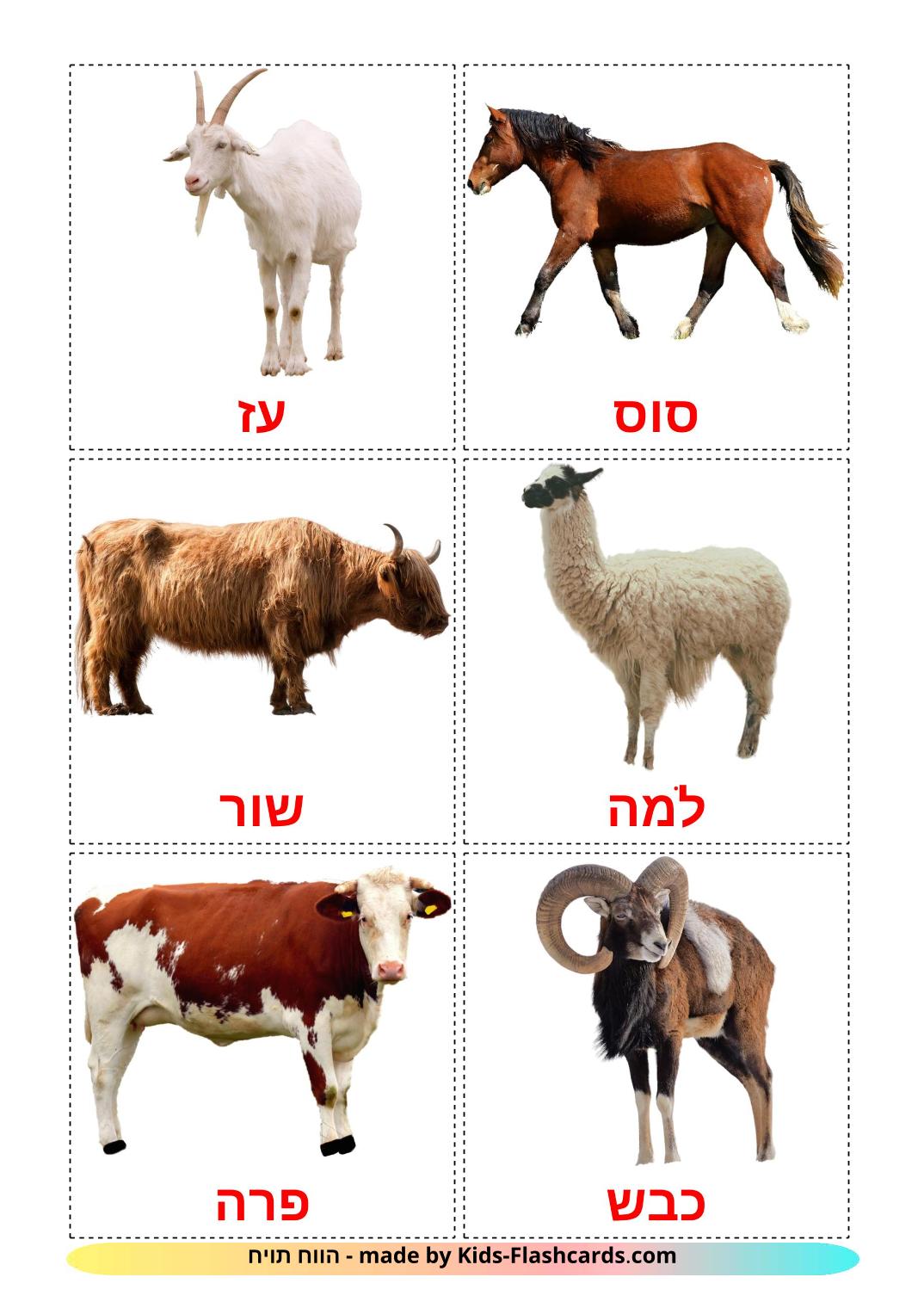 Les Animaux de la Ferme - 15 Flashcards hébreu imprimables gratuitement