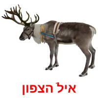 איל הצפון Bildkarteikarten