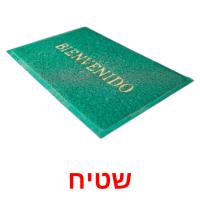 שטיח flashcards illustrate