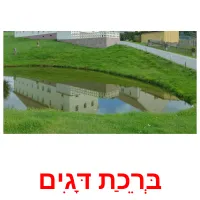 בְּרֵכַת דָּגִים ansichtkaarten