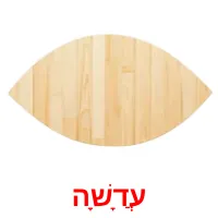 עֲדָשָׁה ansichtkaarten