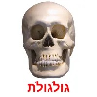 גולגולת ansichtkaarten