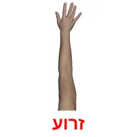 זרוע ansichtkaarten