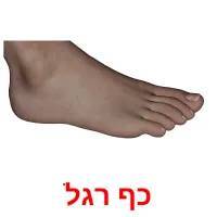 כף רגל ansichtkaarten