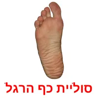 סוליית כף הרגל ansichtkaarten