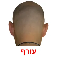 עורף ansichtkaarten