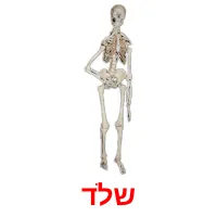 שלד ansichtkaarten