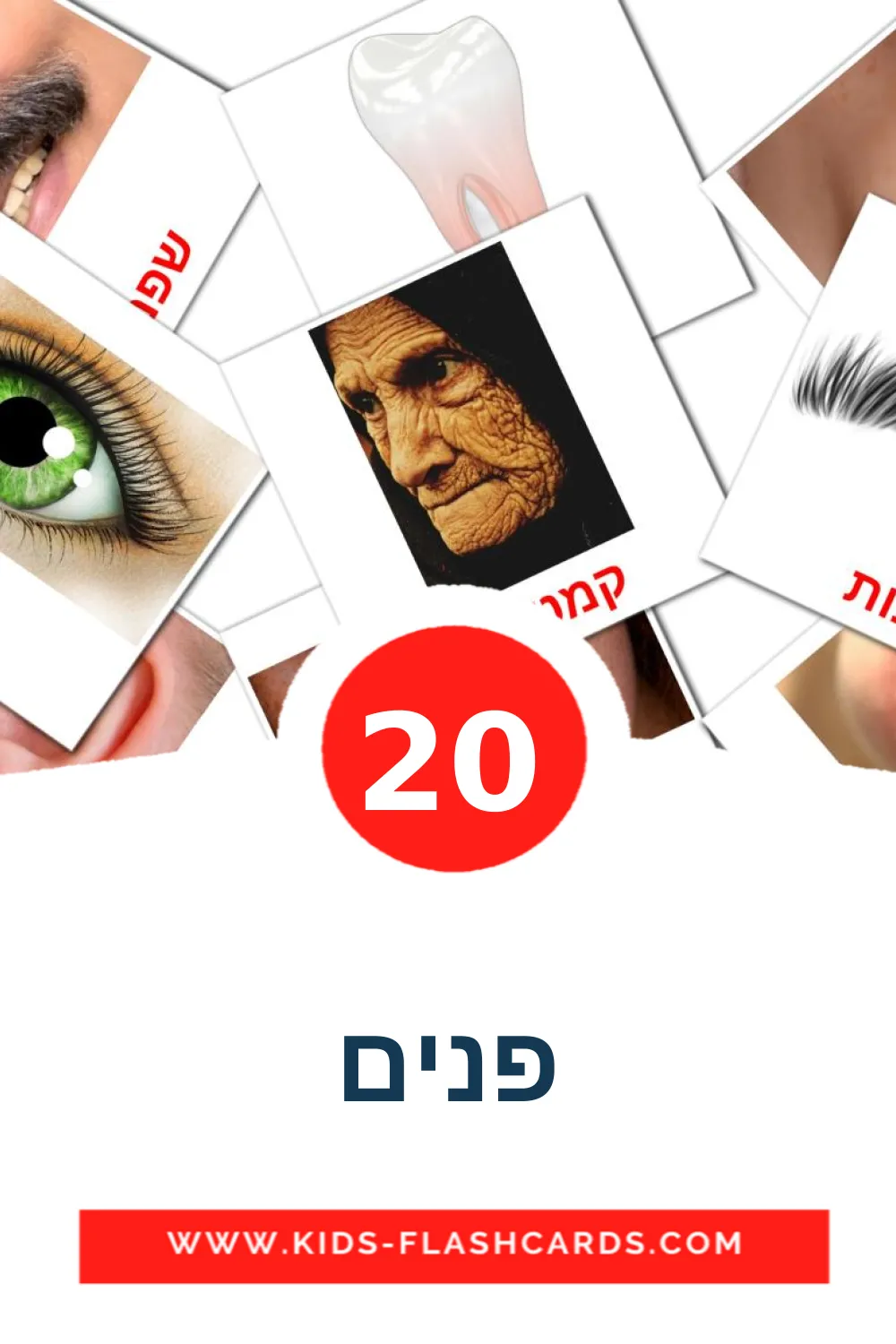 20 פנים fotokaarten voor kleuters in het hebreeuws