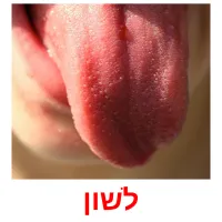 לשון ansichtkaarten