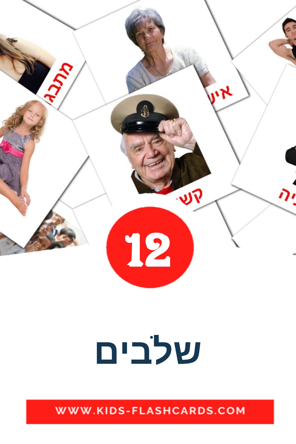 שלבים на иврит для Детского Сада (12 карточек)