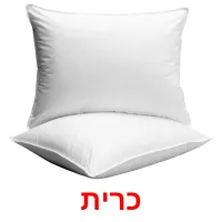 כרית Bildkarteikarten