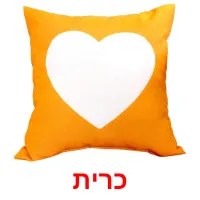 כרית Bildkarteikarten