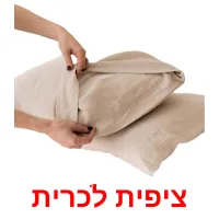 ציפית לכרית Bildkarteikarten