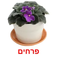 פרחים ansichtkaarten