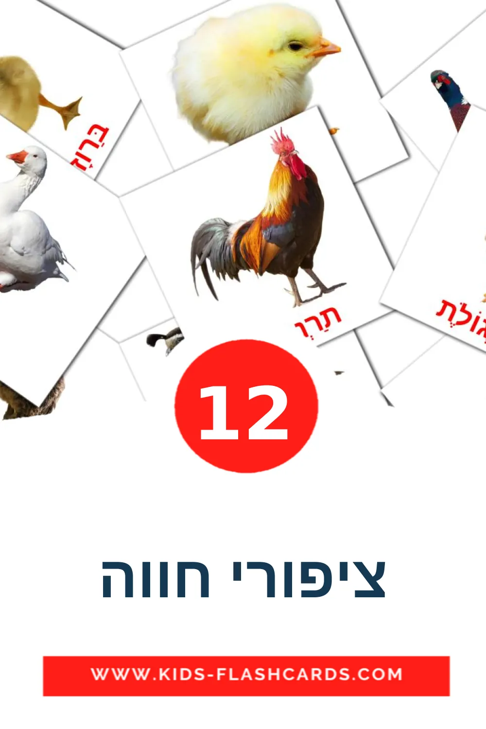 12 ציפורי חווה fotokaarten voor kleuters in het hebreeuws