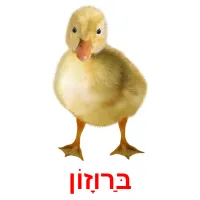 בַּרוָזוֹן ansichtkaarten