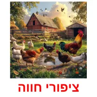 ציפורי חווה ansichtkaarten