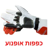 כפפות אופנוע ansichtkaarten