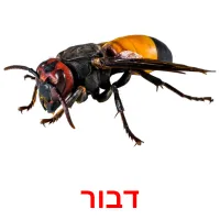 דבור ansichtkaarten