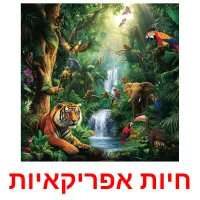 חיות אפריקאיות ansichtkaarten