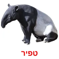 טפיר ansichtkaarten