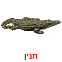 תנין ansichtkaarten