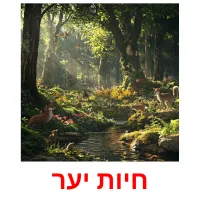 חיות יער Bildkarteikarten