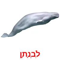 לִבְנָתָן Tarjetas didacticas