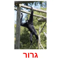 גרור ansichtkaarten