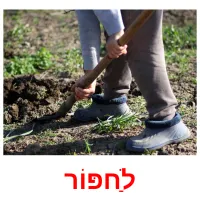 לַחפּוֹר ansichtkaarten