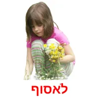 לאסוף ansichtkaarten