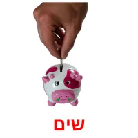 שים ansichtkaarten