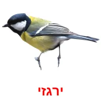 ירגזי Bildkarteikarten