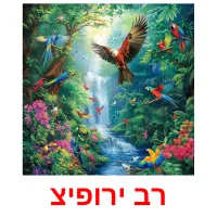 רב ירופיצ Bildkarteikarten