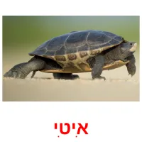 אִיטִי ansichtkaarten