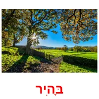 בָּהִיר ansichtkaarten