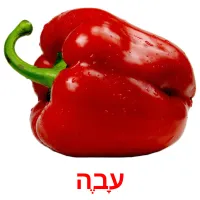 עָבֶה ansichtkaarten