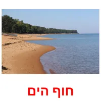 חוף הים Tarjetas didacticas