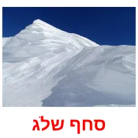 סחף שלג Tarjetas didacticas