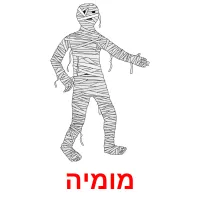 מומיה Bildkarteikarten