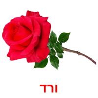 ורד Tarjetas didacticas