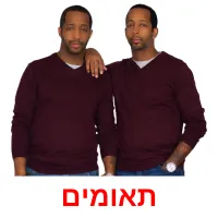 תאומים ansichtkaarten