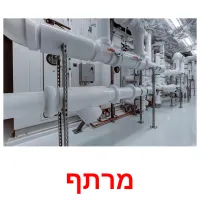 מרתף Bildkarteikarten