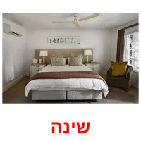 שינה Bildkarteikarten