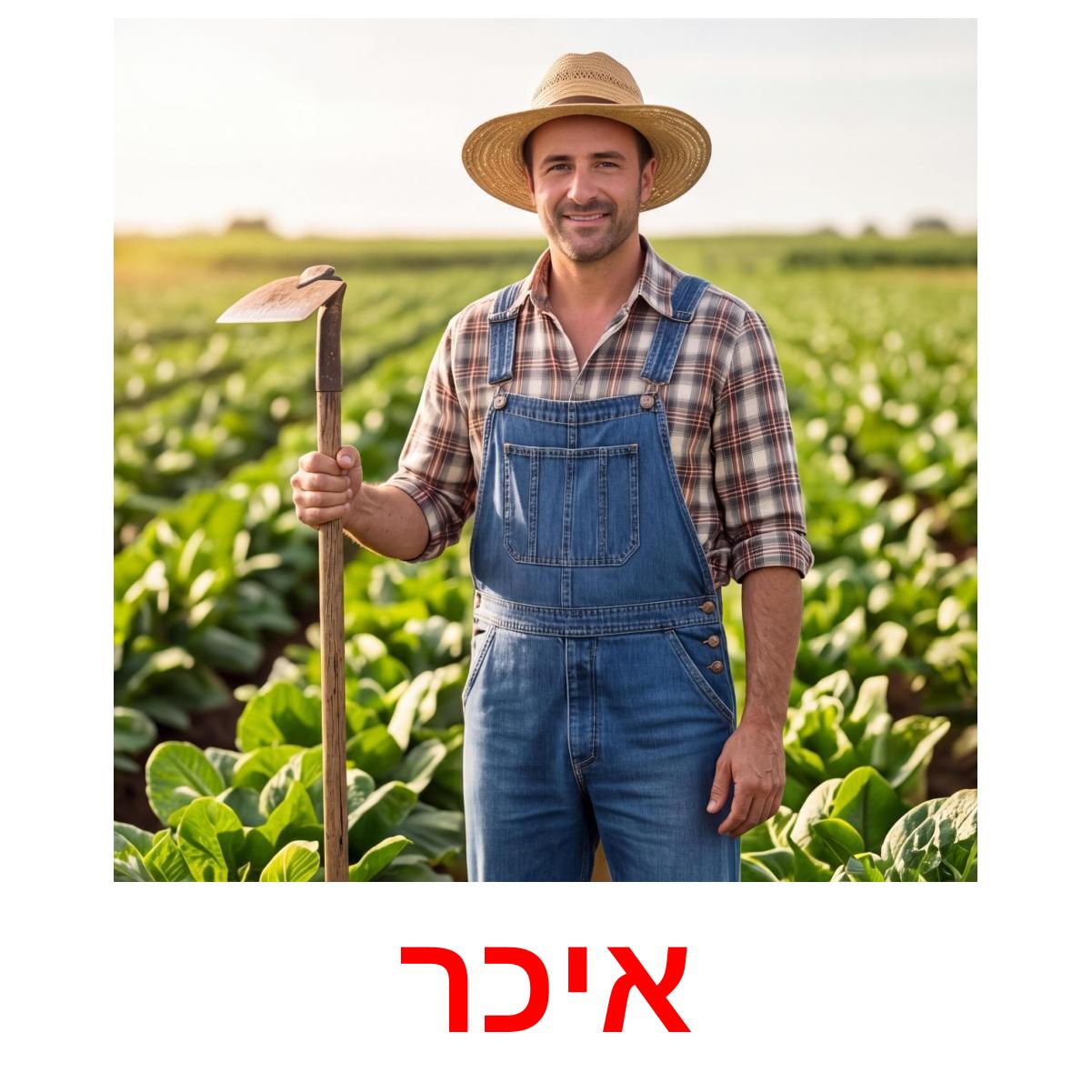 170 FREE Hebrew People Flashcards | PDF