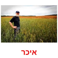 איכר ansichtkaarten