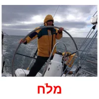 מלח ansichtkaarten