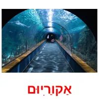 אַקוַרִיוּם Tarjetas didacticas